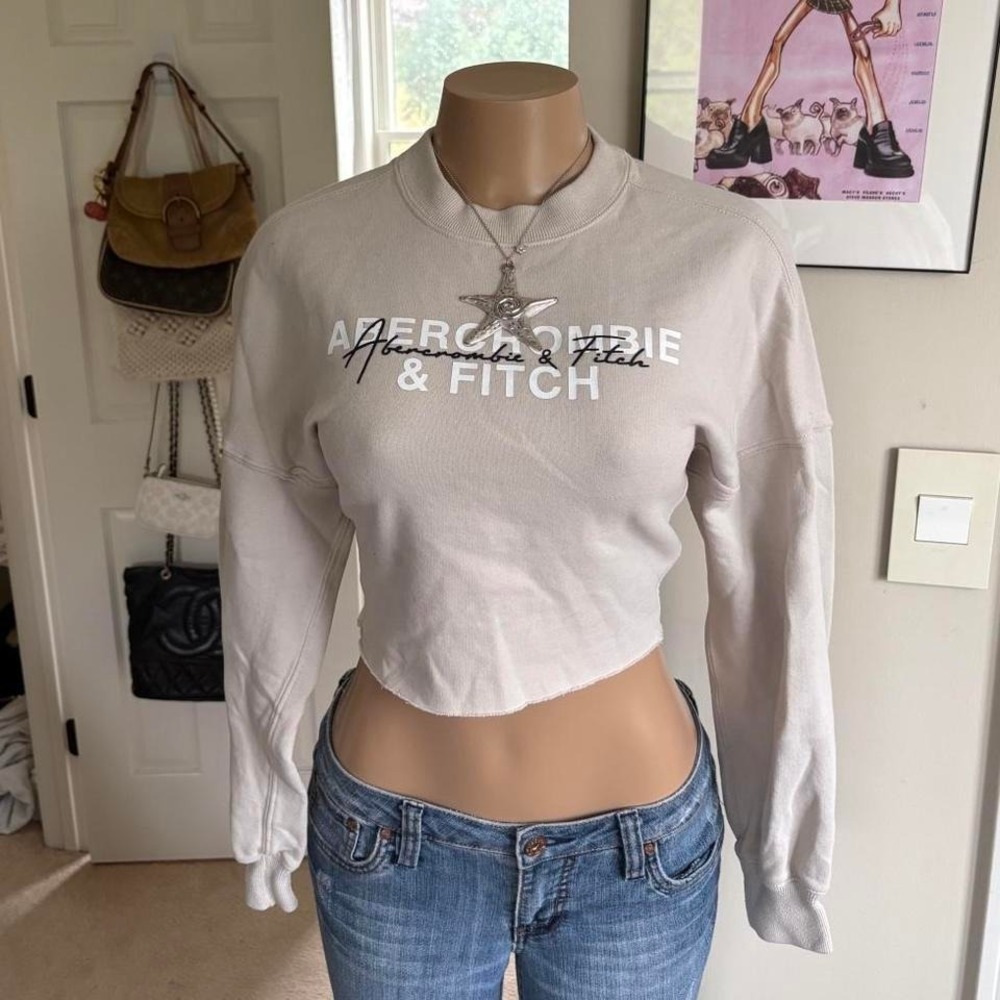 Y2K 2000s ABERCROMBIE spellout CROPPED LONG SLEEVE TOP